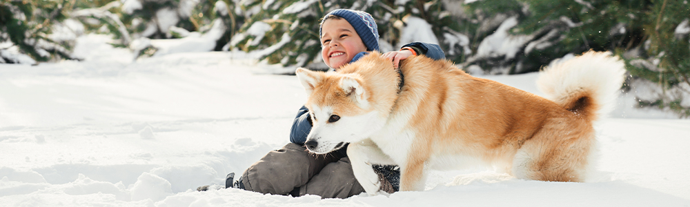 Lapsi leikkii koiran kanssa talvisessa metsässä.